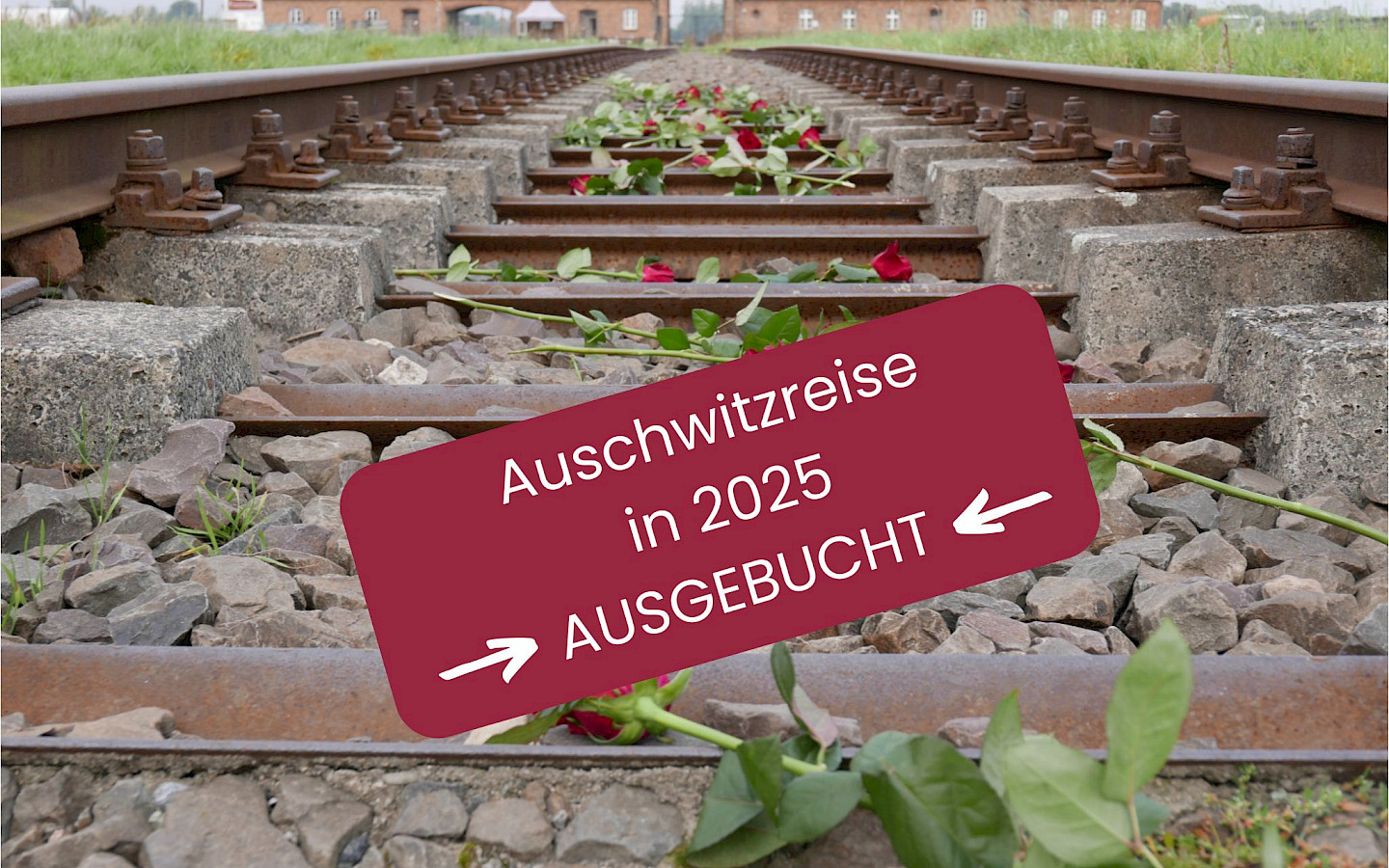 Kommt Ihr mit nach Auschwitz?